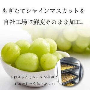 山梨県産シャインマスカットのレーズン 30g×10袋 無添加、砂糖不使用のおやつ【オイルフリー】【1507512】