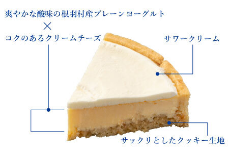 すっきりした酸味とコク！ヨーグルトフロマージュタルト 5号サイズ (約15cm) 