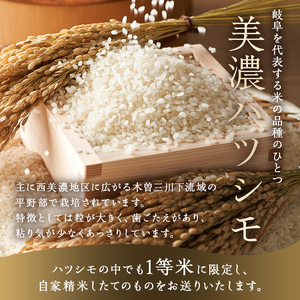 美濃ハツシモ　1等米4kg（2kg×2袋）【0021-006】 米 一等米 ご飯 岐阜 歯ごたえ あっさり 国産 