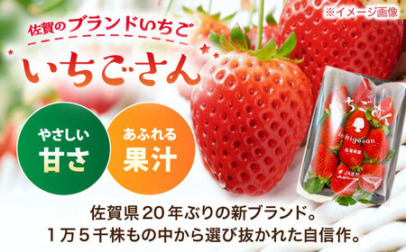 【先行予約 1月中旬以降順次発送】【佐賀のブランドいちご】いちごさん 約1kg（約250g×4p）/中村青果店[UDK010]