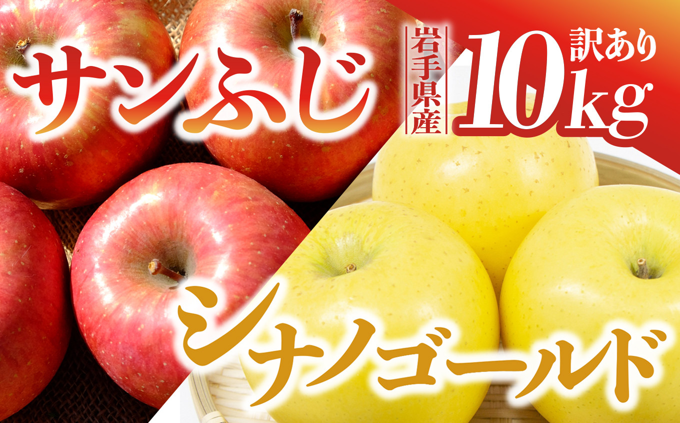 
【先行予約】令和6年産 りんご サンふじ×シナノゴールド 訳あり 10kg 岩手県 金ケ崎町産 12月上旬発送開始
