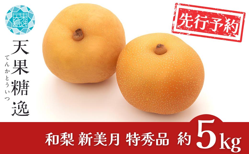 
            先行予約 和梨 新美月 特秀品 約5kg 糖度13度以上を厳選 令和8年度 新潟県産 天果糖逸 [JAえちご中越]【014S056】
          