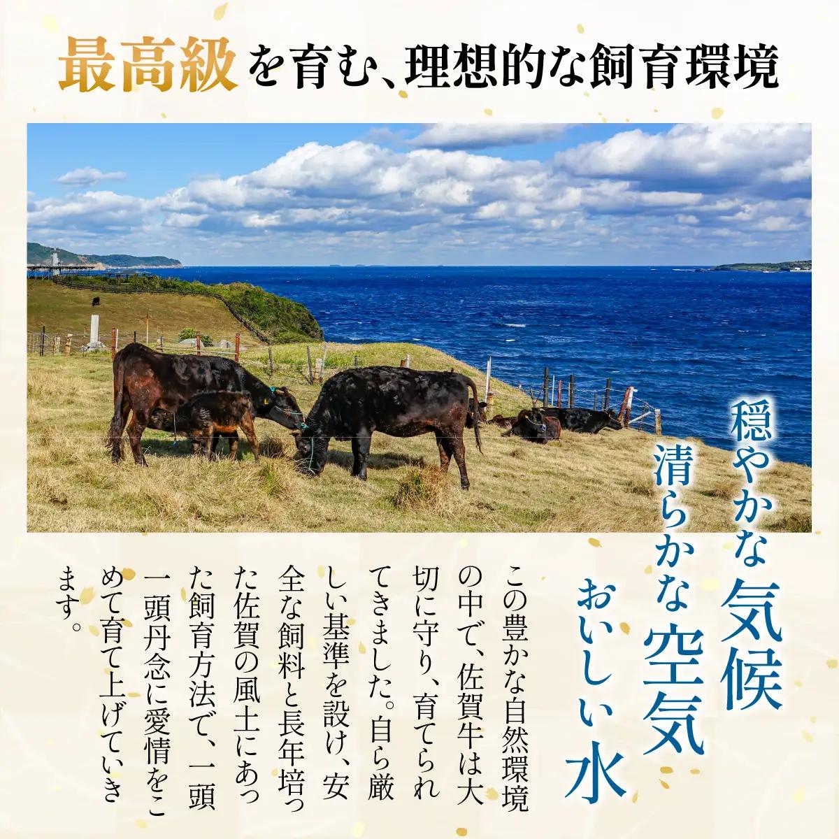 訳あり 佐賀牛焼肉切り落とし500g