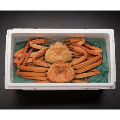 ふるさと納税 射水市 【おすすめ】新湊産紅ズワイガニ(中サイズ約600g×2尾)