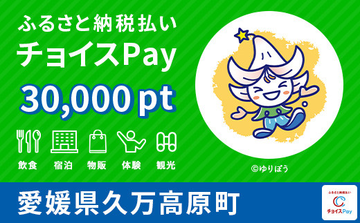 
久万高原町チョイスPay 30,000pt（1pt＝1円）【会員限定のお礼の品】
