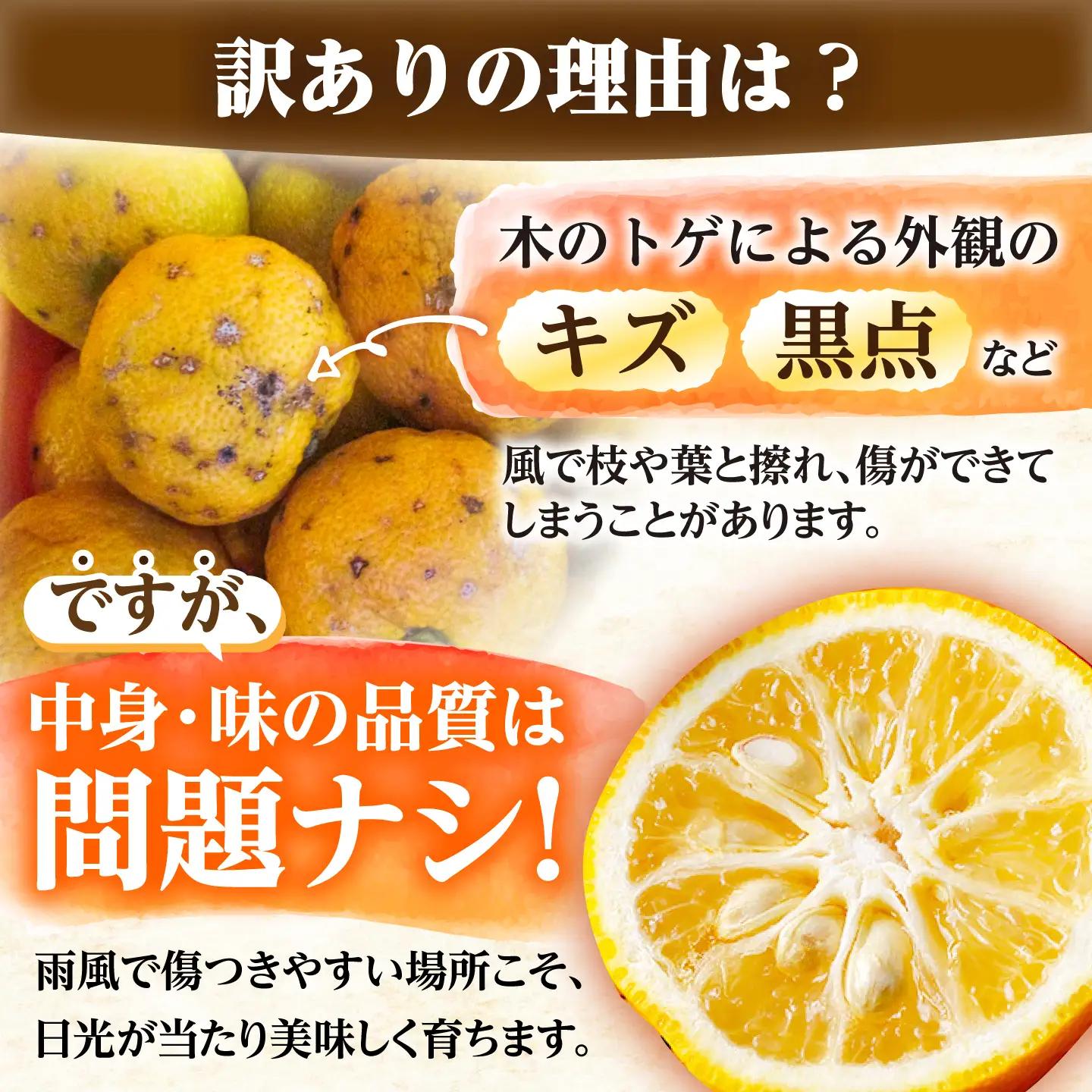 【訳あり】【11月より順次発送】 かさぎのゆず ゆず玉 5kg / 恵那市 / かさぎゆず組合[AUAW019]