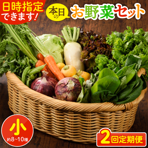【2回定期便】日時指定OK！本日のお野菜セット 〈小サイズ/約8～10種〉1～2人用_A0053-002