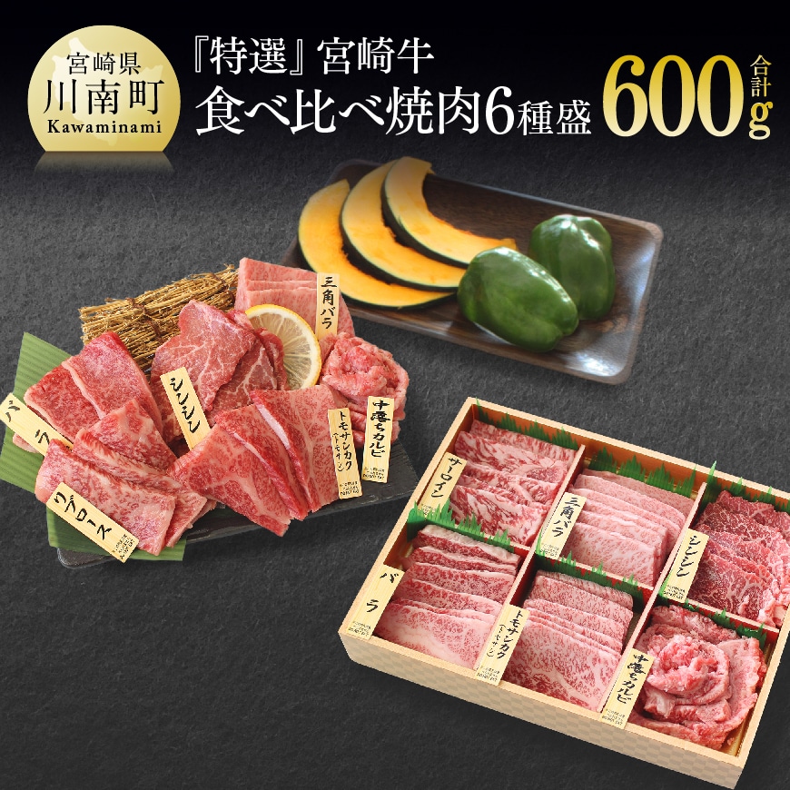 【特選】宮崎牛6種 焼肉食べ比べ　肉 牛肉 黒毛和牛[G7425]