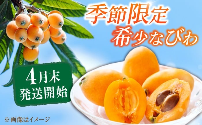果物 びわ約250g  枇杷 ビワ  フルーツ 旬