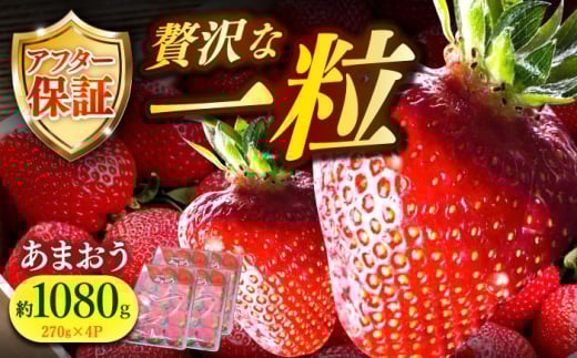 【2月1日から順次発送】農家直送 朝採り新鮮いちご【博多あまおう】約270g×4《築上町》【株式会社H&Futures】 [ABDG004] 14000円