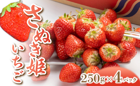 【2025年出荷】さぬき姫いちご（250ｇ×４パック） フルーツ ふるーつ 果物 くだもの 三豊市【配送不可地域：北海道・沖縄県・離島】_M102-0003