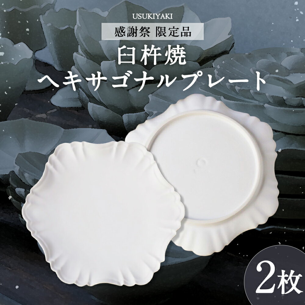 【ふるさと納税】【感謝祭＊限定品】ヘキサゴナルプレート 白 2枚 臼杵焼 六角形 Φ12cm デザート皿 ケーキ皿 取り皿 型打ち 食器 工芸品 日本製 大分県 臼杵市 送料無料