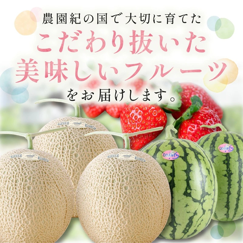 農園自慢の旬のフルーツ 定期便【配送不可地域：北海道・青森・秋田・岩手・沖縄・離島】【8054-3】
