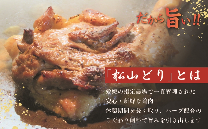 【食べ比べ】松山骨付鳥 親鳥・若鳥　各1本セット 国産鶏肉 愛媛 人気店の味 レンジで簡単 お惣菜 大人気 おいしい 美味しい やきとり 時短 冷凍 松山 親鳥・若鳥　各1本セット