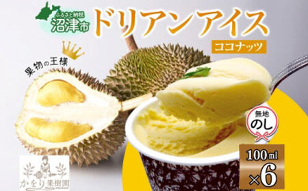 【無地熨斗】 ドリアン ココナッツ アイスクリーム 100ml 6個 ココナッツミルク