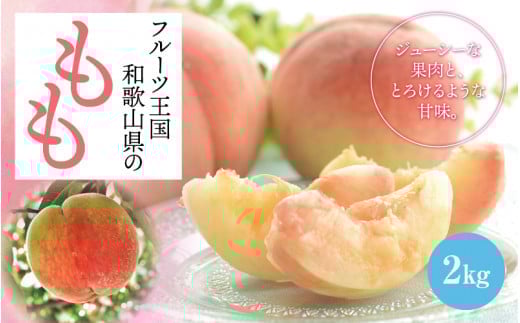 フルーツ王国 和歌山 の 桃 約2kg（fr-06） 先行予約 【2026年6月中旬から7月下旬発送】【MS107】