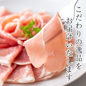 ＜定期便・全3回(連続)＞鹿児島発！国産豚生ハム切り落とし（計2.25kg/計750g・75g×10P×3回） 生ハム おつまみ 小分け 【ナンチク】 T29