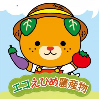 ふるさと納税 松山市 愛媛県産『エコえひめ農産物』の認証(ゴールド)を取得 池田農園の美味しいコシヒカリ白米 |  | 01