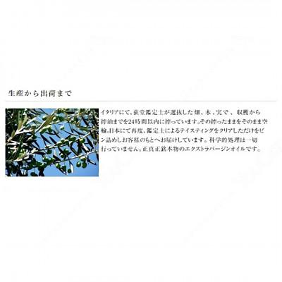 ふるさと納税 大津町 純菜種・有機オリーブオイル詰合せ(2本セット)(純菜種 600g、オリーブオイル250g) |  | 02