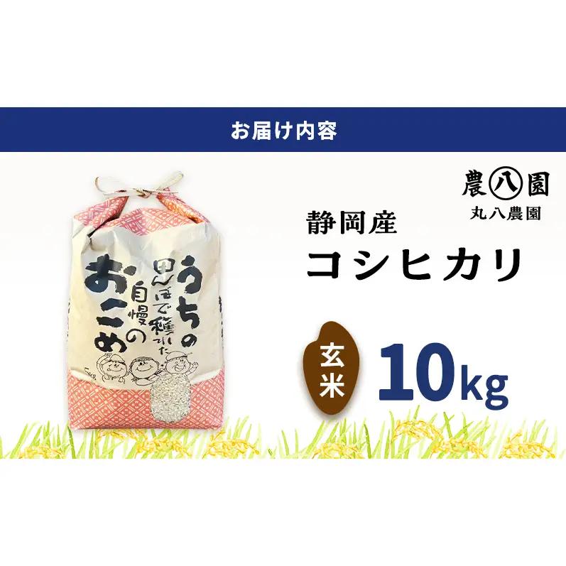 【予約】令和8年度産 静岡産 コシヒカリ 玄米 定期便 10kg×6カ月 米 コメ こしひかり コシヒカリ 袋井市 静岡県