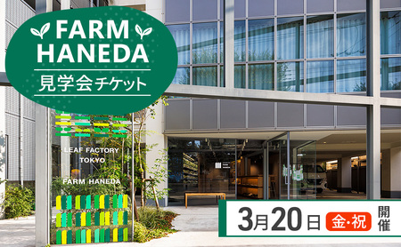 チケット 東京 【3.20(金・祝)開催】FARM HANEDA見学会チケット 見学 収穫 体験 体験チケット 植物工場 野菜 栽培 レタス ラディッシュ サラダホウレンソウ 大田区 東京都