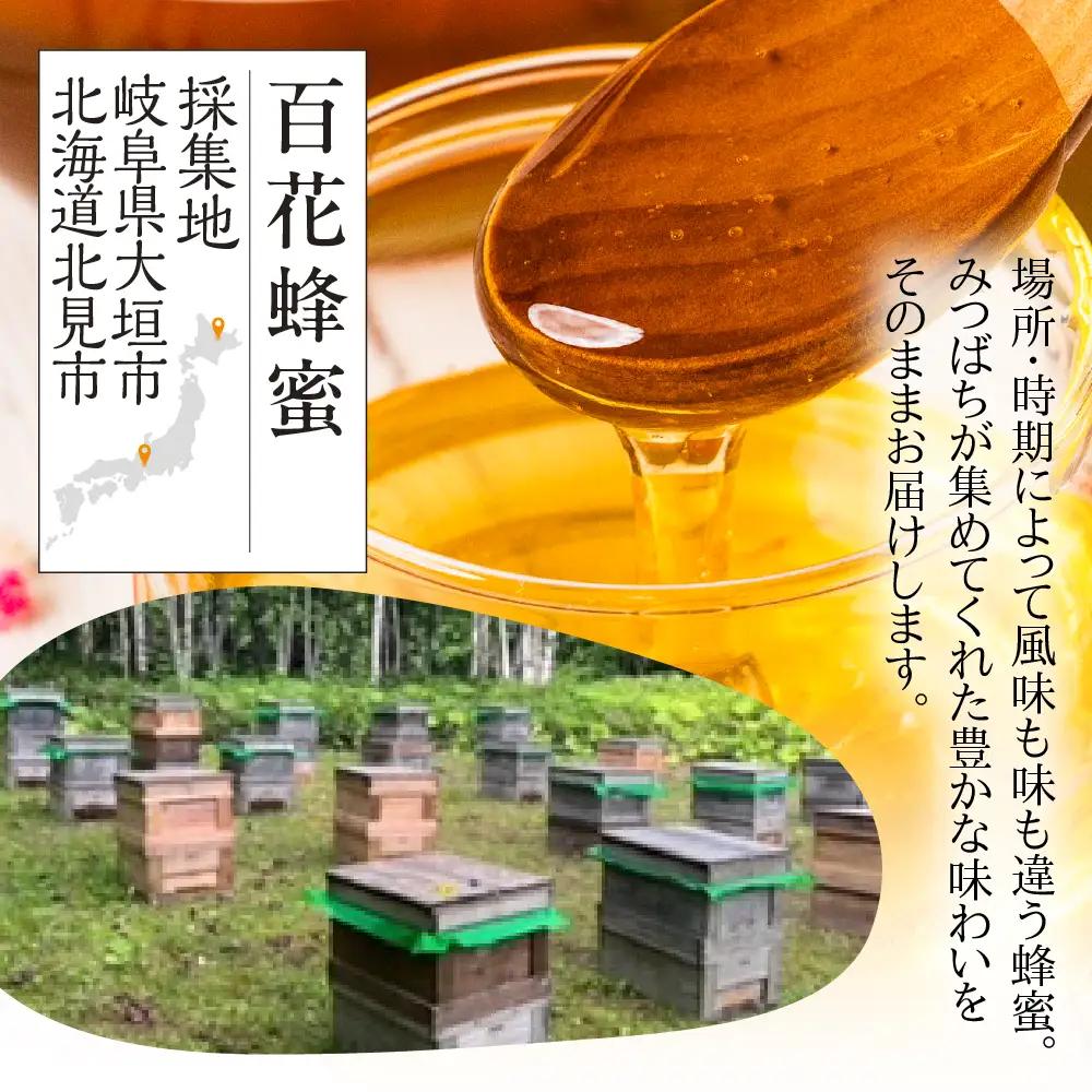 【国産蜂蜜】百花 1200g×3回定期便 蜂蜜