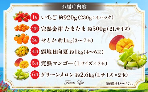 《2027年発送先行予約》【数量・期間限定】旬のフルーツ6ヶ月定期便vol.2