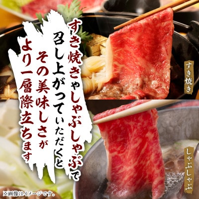 飛騨牛5等級ロース・すき焼きしゃぶしゃぶ用 1kg【配送不可地域：離島】