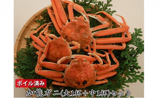
                  【納品日指定不可】加能ガニ（大1杯+中1杯）セット　ボイル済み
                