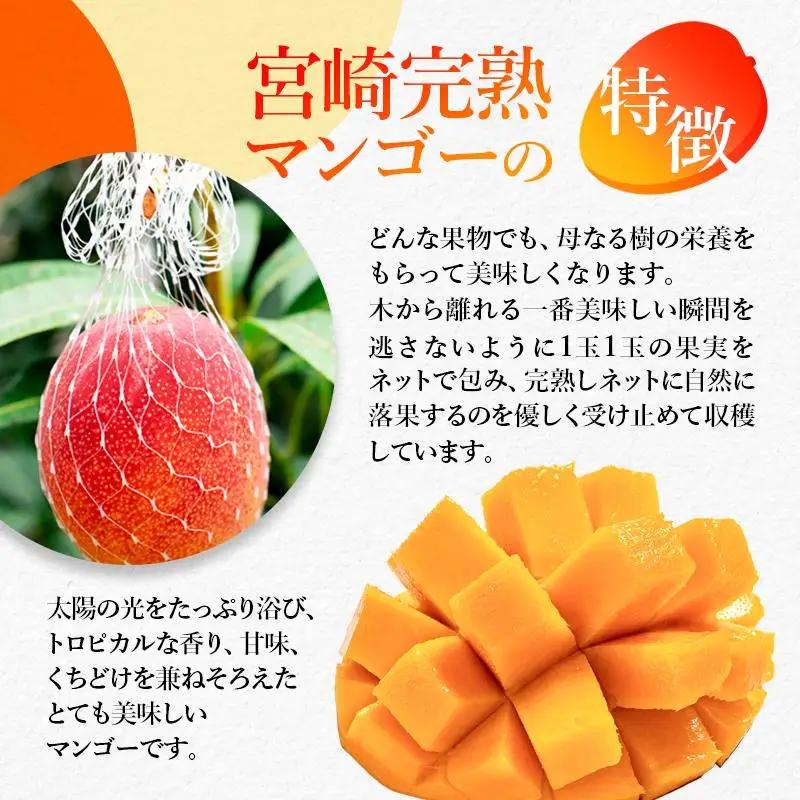 【先行予約】糖度15度以上 最高級ブランド『太陽のタマゴ』1㎏程度　宮崎県西都市産完熟マンゴー ＪＡ西都 2026年発送＜2-2a＞