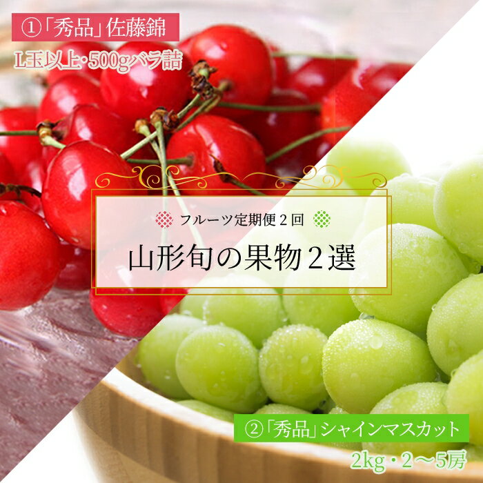 【ふるさと納税】【2026年発送】【定期便2回】山形旬の果物2選（佐藤錦/シャインマスカット）_H180(R8)