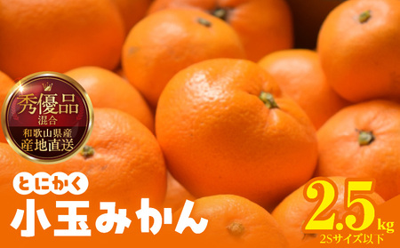 【2026年先行予約】みかん とにかく 小玉 箱込 2.5kg ( 内容量 2.3kg ) 2Sサイズ以下 秀品 優品 混合 有田みかん 和歌山県産 産地直送 【みかんの会】_MK1000