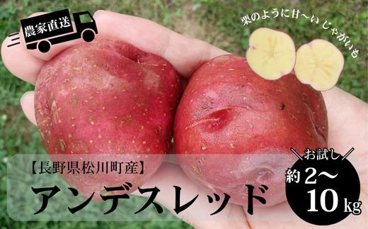 
            長野県松川町産じゃがいも アンデスレッド 約2kg 約5kg 約10kg / 8月中旬 発送開始予定 // 長野県 南信州 減農薬栽培 いも 芋 イモ ジャガイモ エコファーマー認証 農家支援 産地直送 HF
          