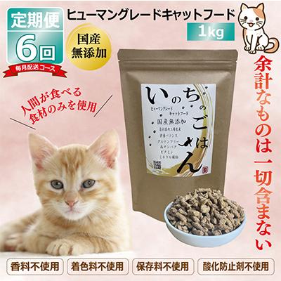 ふるさと納税 泉佐野市 【毎月定期便】国産 無添加 キャットフード「いのちのごはん」1kg×全6回 099Z334