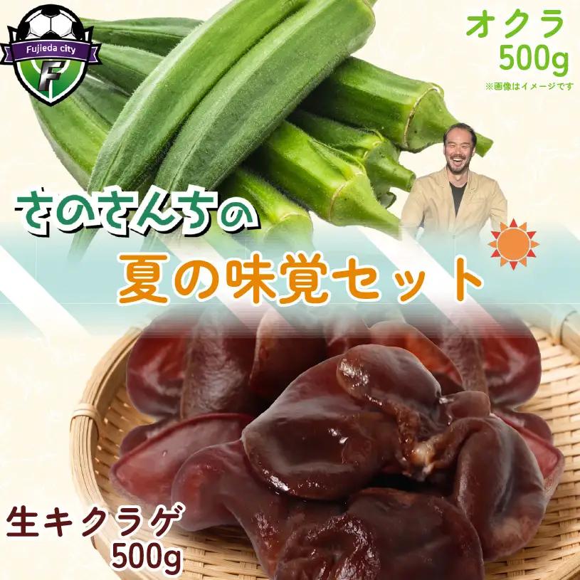 生キクラゲ500g オクラ500g セット 計1kg キクラゲ オクラ