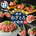 【ふるさと納税】 定期便 ネギトロ まぐろ 魚 冷凍 焼津 天然 ネギトロ 150g×20袋 小分け 【定期便10回】 b30-013