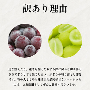 訳あり シャインマスカット ピオーネ 各2パック 粒でお届け 