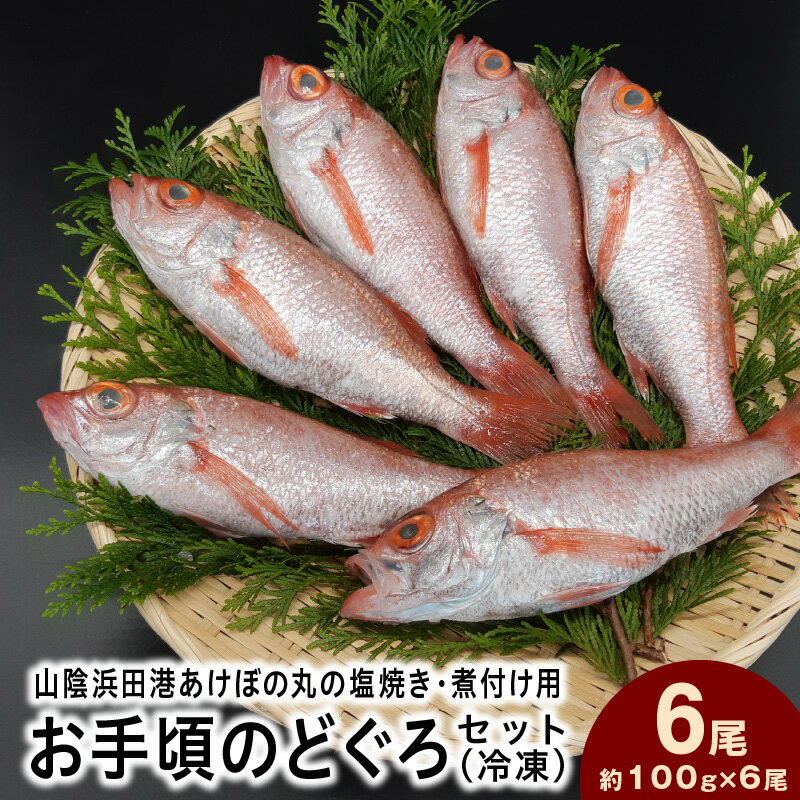 【ふるさと納税】山陰浜田港あけぼの丸の塩焼き・煮付け用お手頃のどぐろセット（冷凍）魚介類 魚貝類 のどぐろ 塩焼き 煮付 内臓処理済み 【146_2029】
