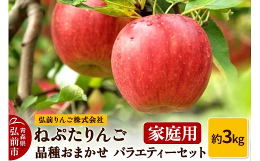 【26年9月下旬～発送】りんご ねぷたりんご バラエティーセット【家庭用】約3kg【品種おまかせ】 家庭用 青森県 弘前市 果物 フルーツ 林檎 リンゴ くだもの 不揃い 規格外 [産地直送 詰め合わせ おまかせ セット アップル おいしい 果実 美味 甘い]