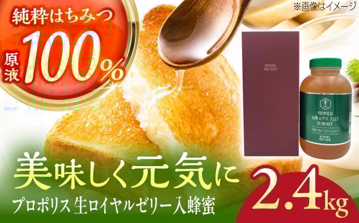 
            コハマのハチミツ プロポリス 生ローヤルゼリー入蜂蜜 2.4kg×1本 蜂蜜 はちみつ ハチミツ 国産 ギフト 沖縄市 / 農業生産法人株式会社小浜養蜂場 [BCAQ008]
          