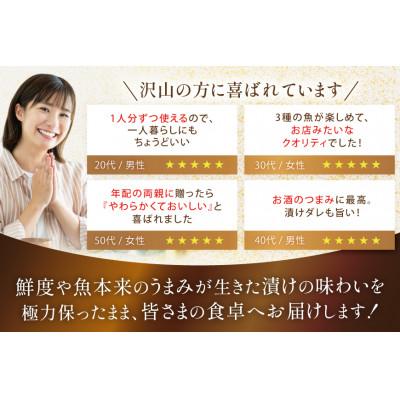 ふるさと納税 日向市 【毎月定期便】 海鮮丼 海鮮漬け丼 食べ比べ 全3回 |  | 03