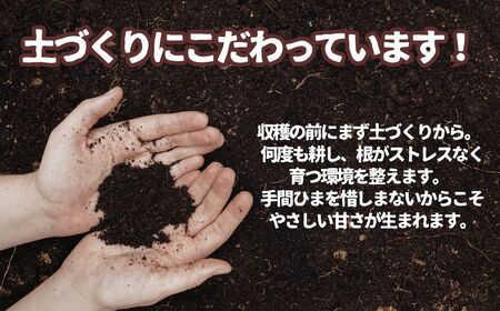 訳あり にんじん 5kg 人参 野菜 | 石川県 小松市 JAあぐり