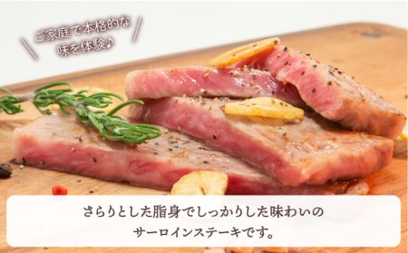 【全3回定期便】【隔月発送】佐賀牛 サーロインステーキ 1.0kg（250g×4枚） [HBH126] 佐賀牛 ステーキ サーロイン
