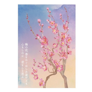 【水戸市有料観光土産品】Shamrock うずらのたまごのピクルス 梅香 ２本（FE-9）