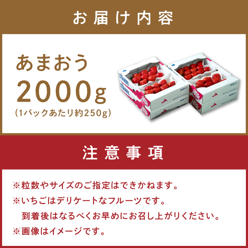 フルーツソムリエが選んだ福岡産【春】あまおう8パック【011-0091】