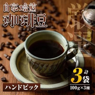 ふるさと納税 伊佐市 自家焙煎珈琲豆3袋