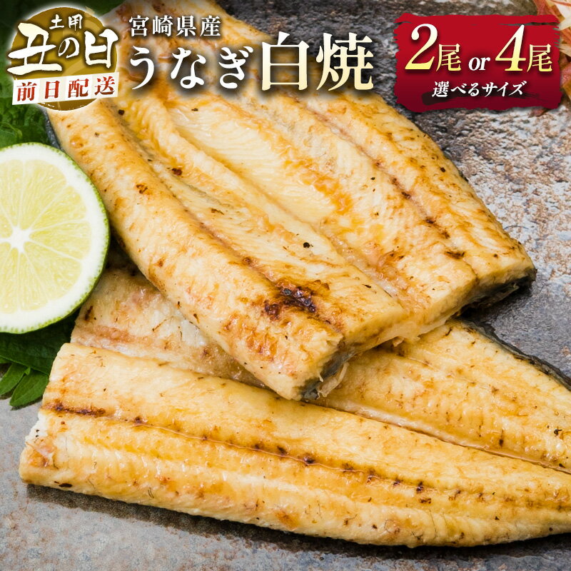 【ふるさと納税】前日配送予約［土用丑の日］尾数 サイズが選べる 国産 うなぎ 白焼き タレ付 ※前日7月25日お届け 有頭 熨斗 贈答品 ギフト 配送日指定可