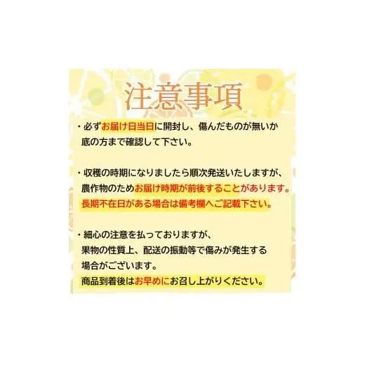 秀逸 浦ノ内ポンカン ぽんかん 5kg