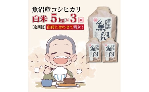 【3か月定期便】令和7年産新米　魚沼産コシヒカリ 精米5kg×3回　計15kg　米 コメ こしひかり 精米 ブランド米 お取り寄せ 十日町市