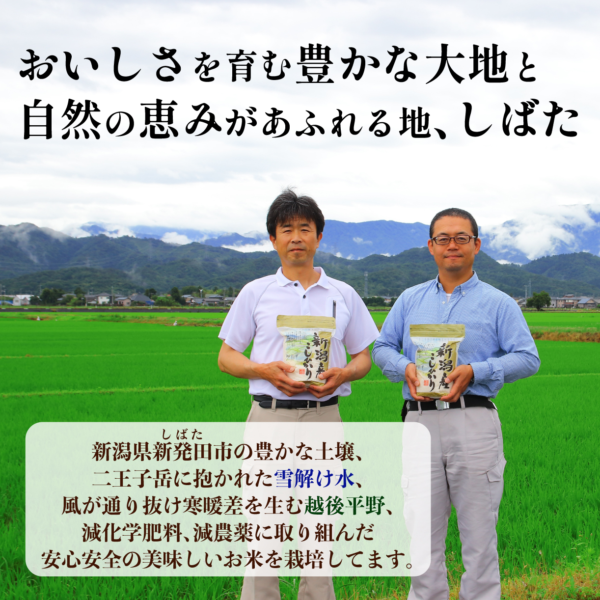 【定期便】令和5年産 特別栽培米コシヒカリ 2kg×2袋×6ヵ月 D29_01